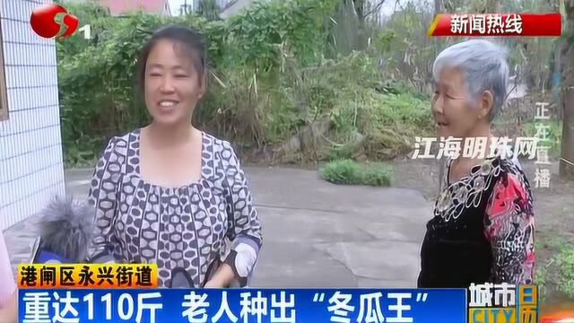 港闸区永兴街道:重达110斤 老人种出“冬瓜王”