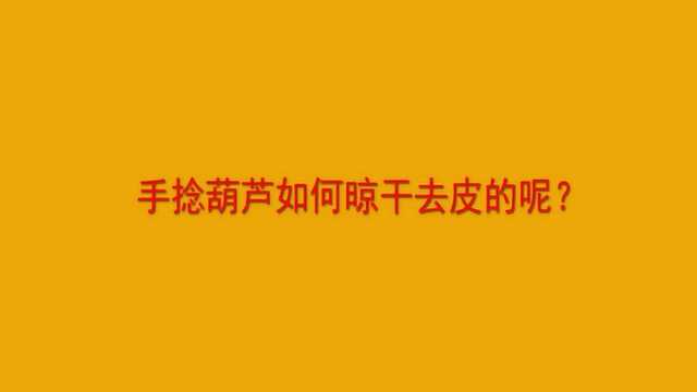 手捻葫芦如何晾干去皮的呢?