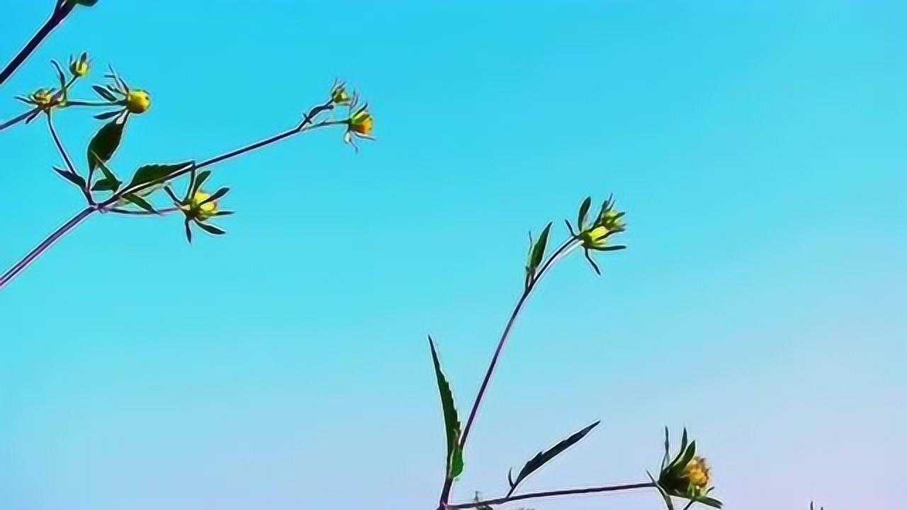 生活原本沉悶但跑起來就會有風要相信陽光總在風雨後