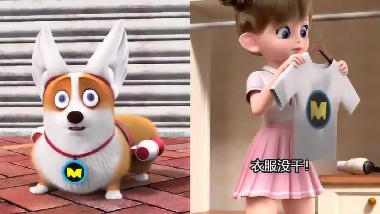 飞狗moco-小主人不遇困难也想不到柯基,柯基命苦呀