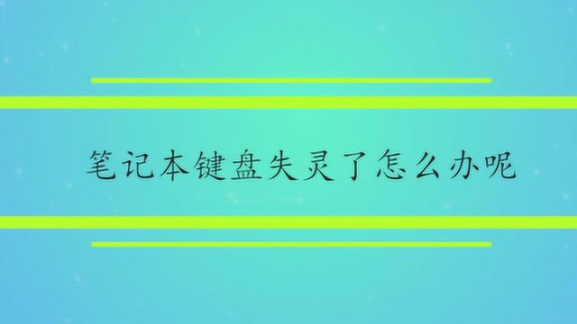 笔记本键盘失灵了怎么办呢