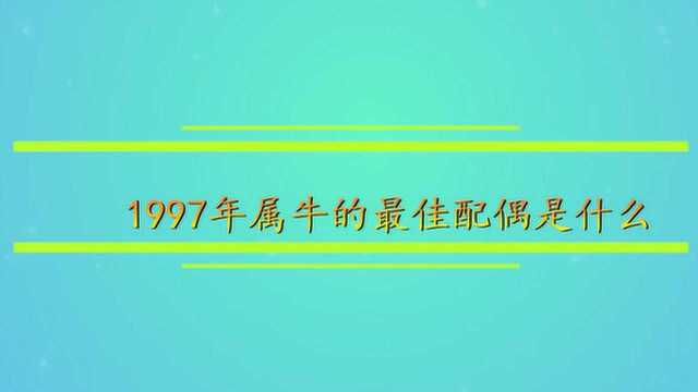 1997年属牛的最佳配偶是什么