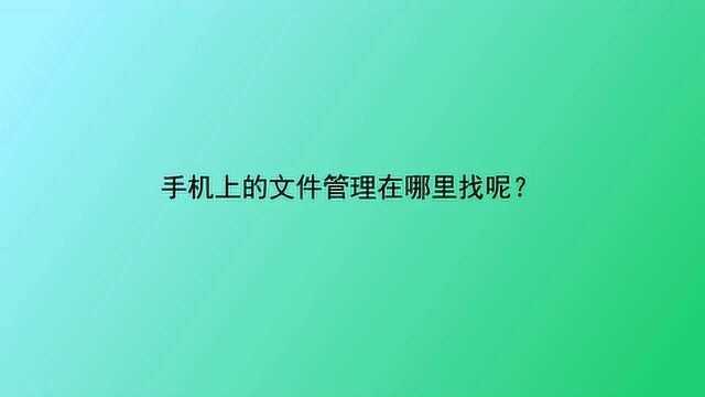 手机上的文件管理在哪里找呢?