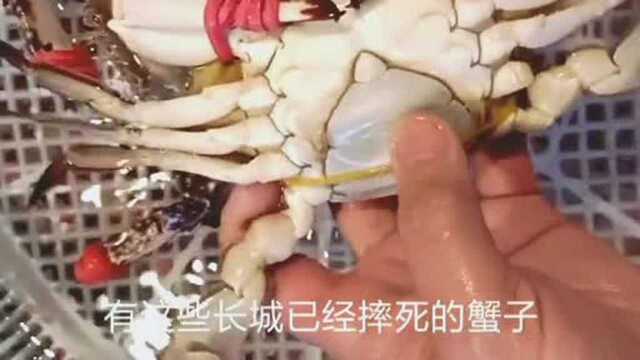 买梭子蟹要注意了,这4种螃蟹白给都不要,教你挑选螃蟹技巧!