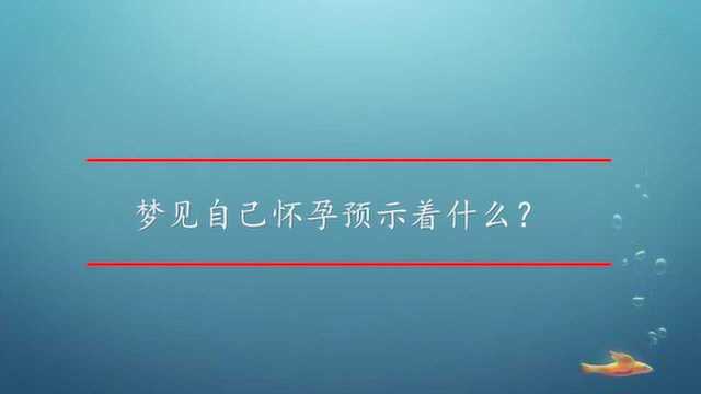 梦见自己怀孕预示着什么?