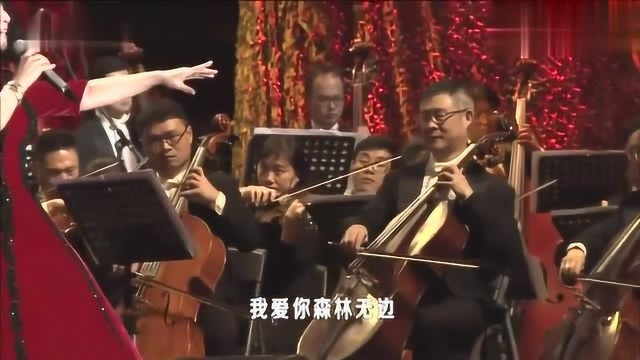 殷秀梅《我爱你中国》现场演唱,场面震撼