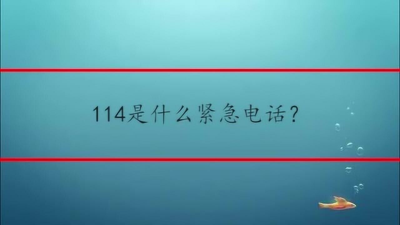 114是什麼緊急電話