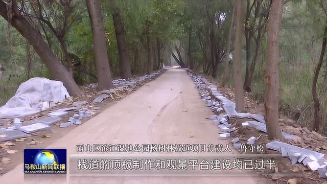 滨江湿地公园杨树林栈道项目有望月底完成