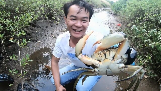 海南天气变冷青蟹越来越少,小诗收获还不错,技术够可以的!