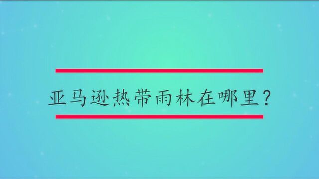 亚马逊热带雨林在哪里?