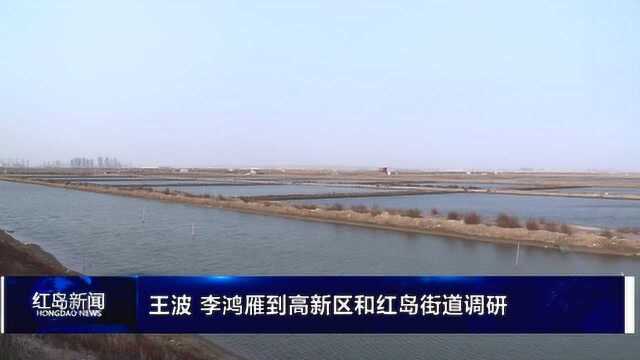 王波 李鸿雁到高新区和红岛街道调研