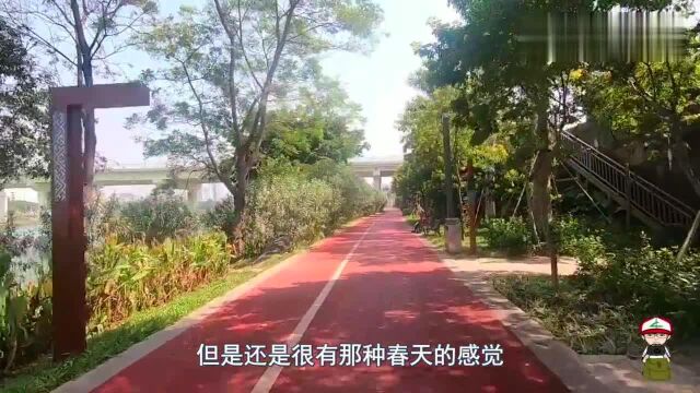 实拍邕江,南宁的母亲河是什么样带大家看看