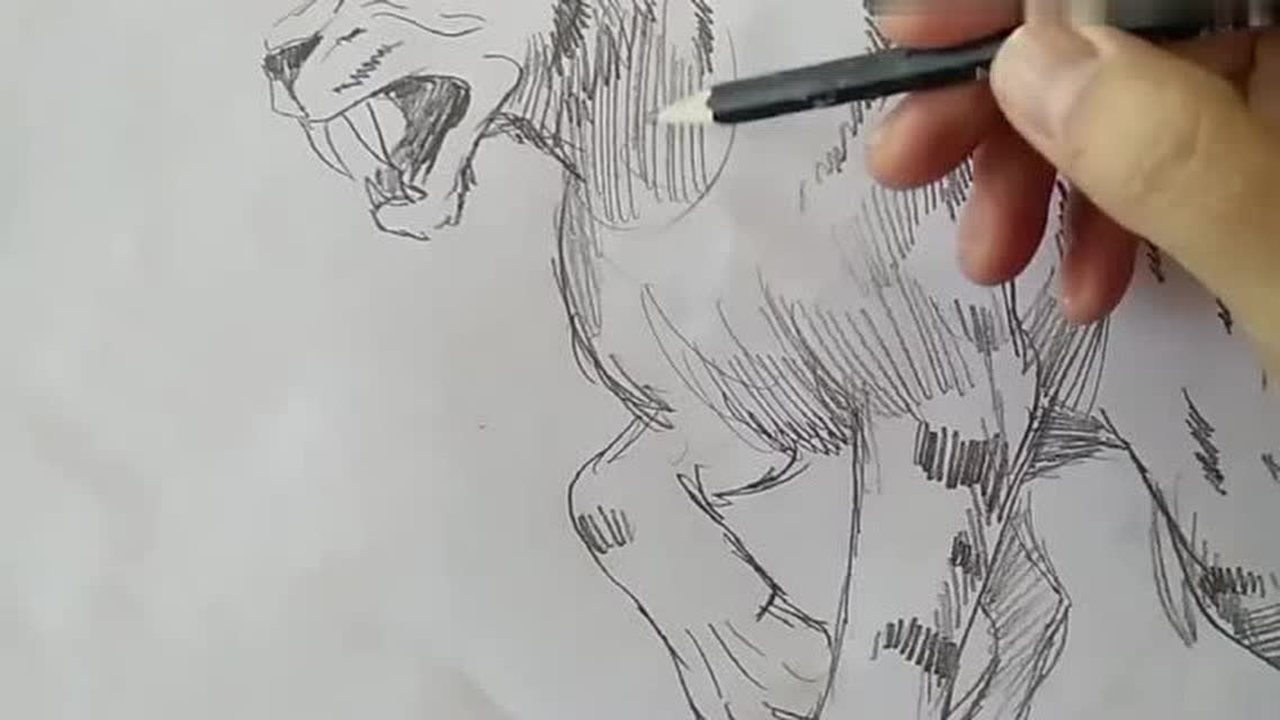 剑齿虎简笔画,老师教的非常仔细,一笔一划很认真你学会了吗_腾讯视频