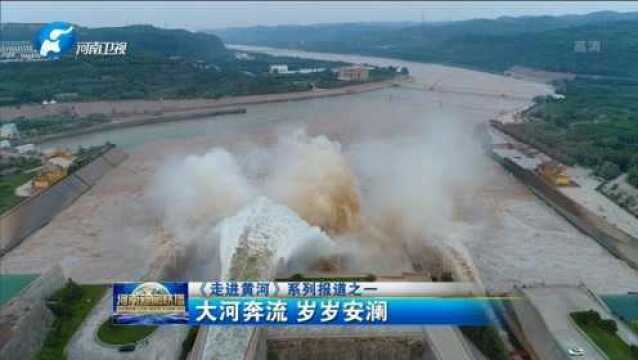 《走进黄河》系列报道一《大河奔流 岁岁安澜》