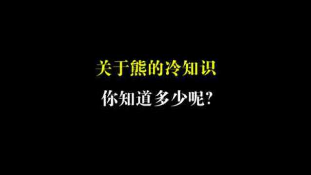 关于熊的冷知识你知道多少呢?