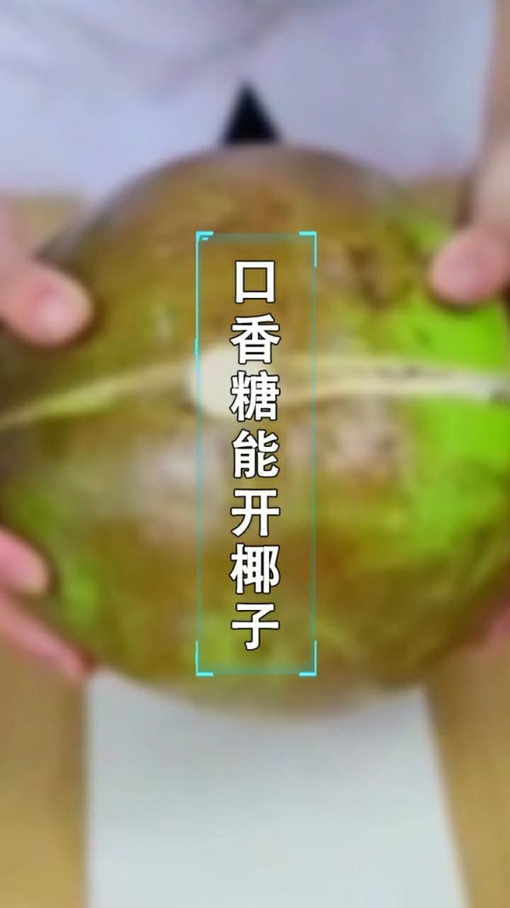 口香糖能打开椰子?是真的吗?