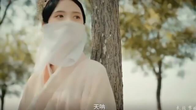 天才小毒妃:女子一朝穿越古代,竟当上秦王妃