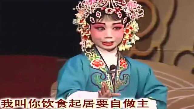 《梨园春》小擂主李梦雅曲剧《陈三两》大师味儿十足!