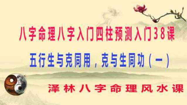 八字入门八字命理四柱预测入门38课五行生与克同用 克与生同功(一)