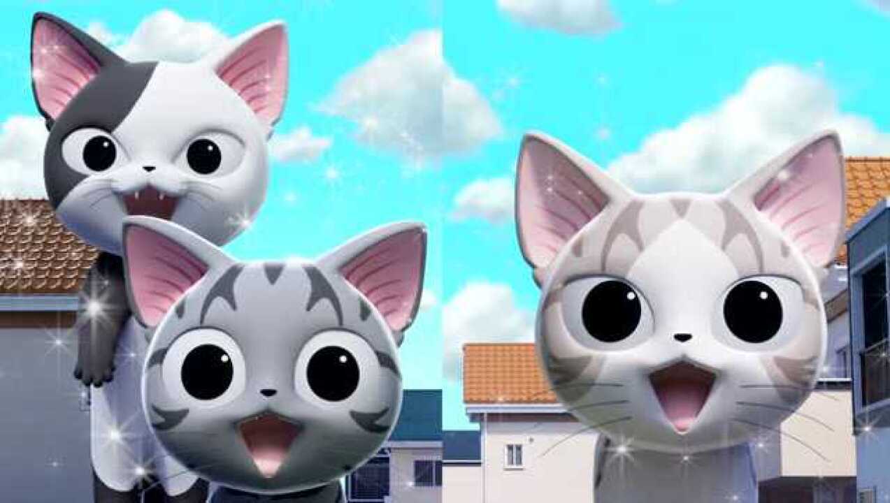 《甜甜私房猫》哇,好多猫咪呀!