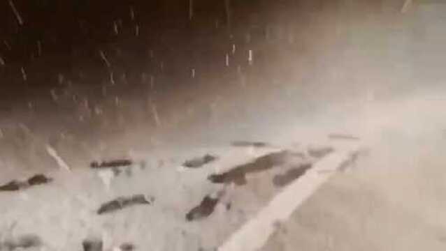 杭州下雪了!今冬迎来初雪 马路如铺上白色“地毯”