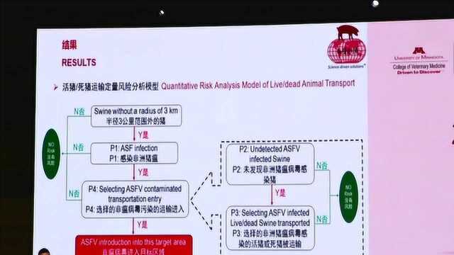 王帅彪——非洲猪瘟下大型生产体系的建立