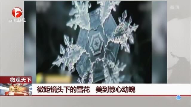 微距镜头下的雪花 才发现原来雪花这么多形状 还有三角形的