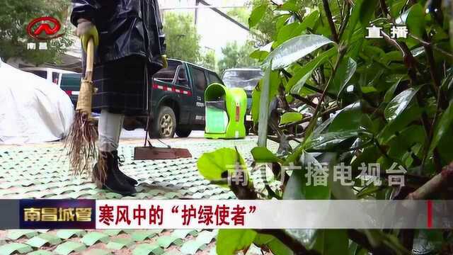 【城管新闻】 寒风中的“护绿使者”