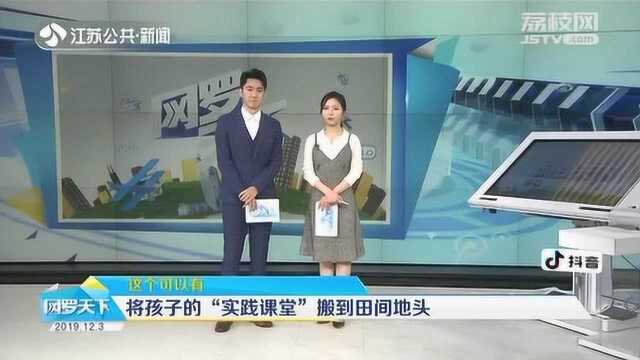 五谷你能分清吗?学校开辟小菜园 田间地头成了实践课堂