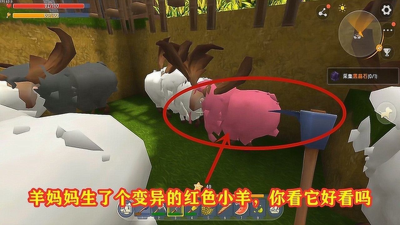 小诚迷你世界生存羊妈妈生了个变异的红色小羊你看它好看吗