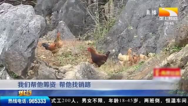 精准扶贫:发展生态养殖,深山贫困户脱贫又脱单