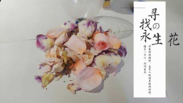 成功破解手工永生花制作液:教你自主调试永生花配方制作