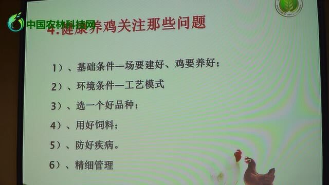 西北农林科技大学高玉鹏教授:现代蛋鸡标准化养殖技术(下)