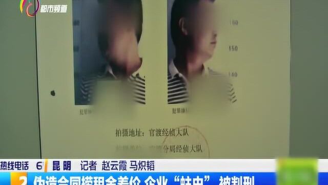 伪造合同捞租金差价,企业“蛀虫”被判刑,记者报道