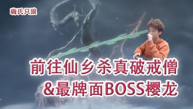 【实况】嗨氏只狼:10前往仙乡杀真破戒僧和最牌面BOSS樱龙