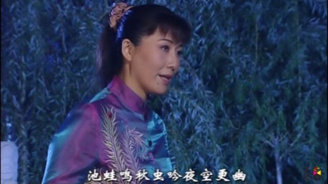 【汪荃珍豫剧经典老戏】汪荃珍《儿大不由爹》月朦胧