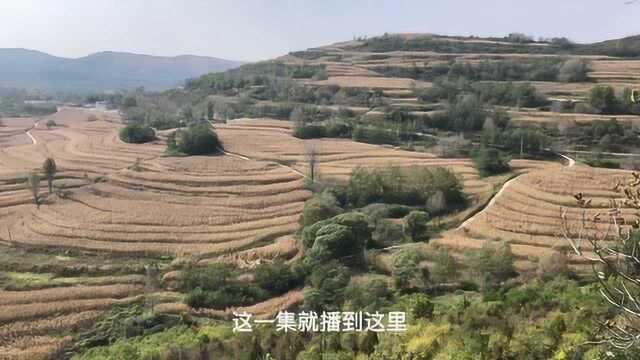 《古韵陕西》09、宜君旱梯田