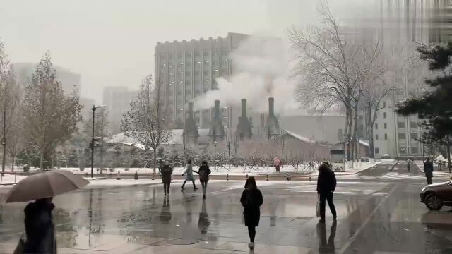 故宫简介,听说故宫下雪了,我们一起来看看当时的紫禁城吧