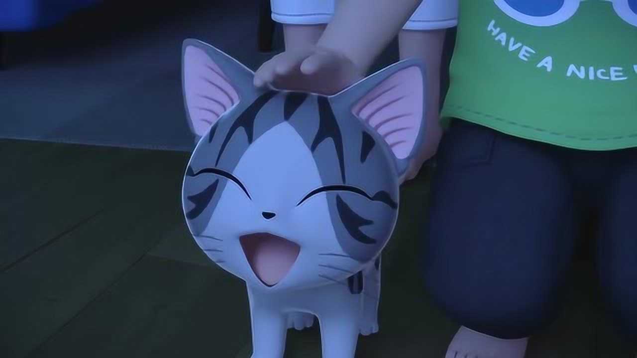 甜甜私房猫:哇!小奇真是太可爱了吧