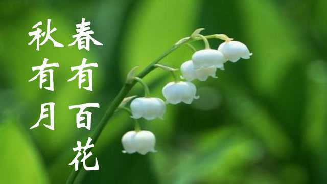 《春有百花秋有月》,演唱印良法师