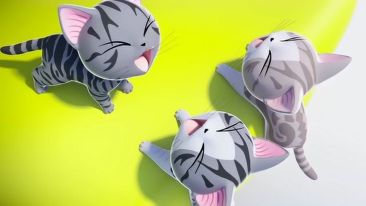 甜甜私房猫:好多猫咪呀,小奇最可爱了!