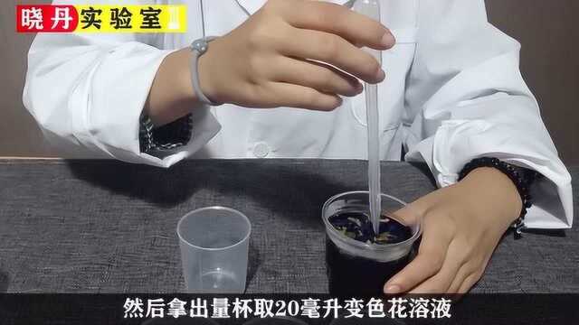 科学小实验,魔幻变色水.