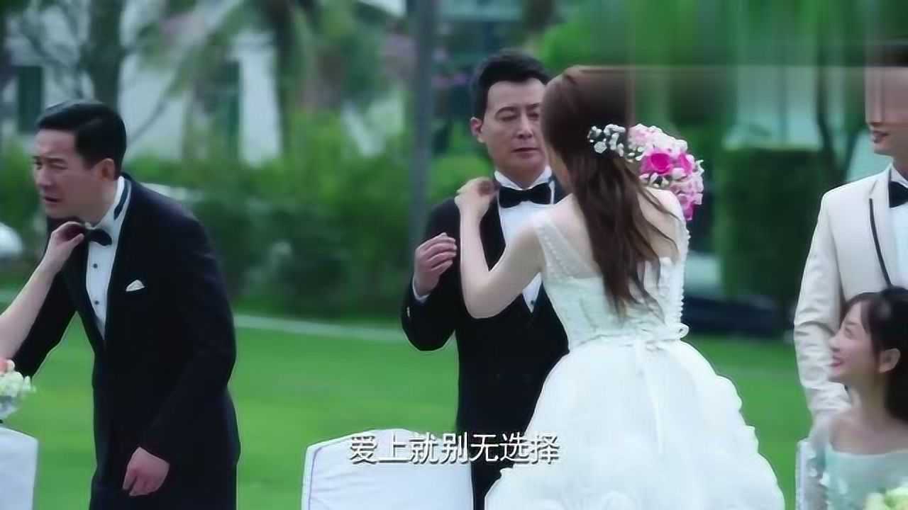 警犬来啦大结局警局办集体婚礼警犬抢光了所有人的风头