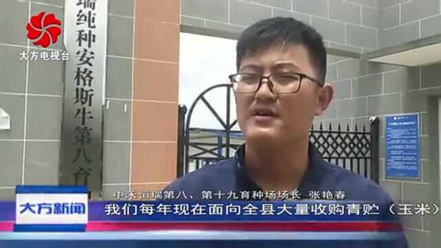 中禾恒瑞进驻大方 让群众在产业链上增收!