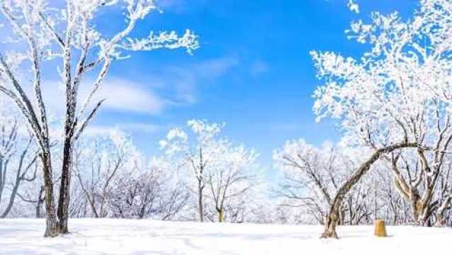 洛阳栾川县伏牛山雪景美如画