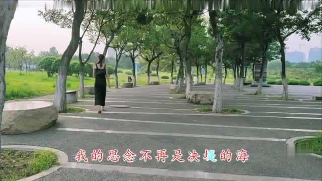 经典音乐,一首《心雨》独特的嗓音,歌词句句现实