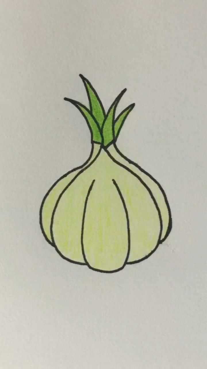 大蒜简笔画,一起来学习吧_腾讯视频