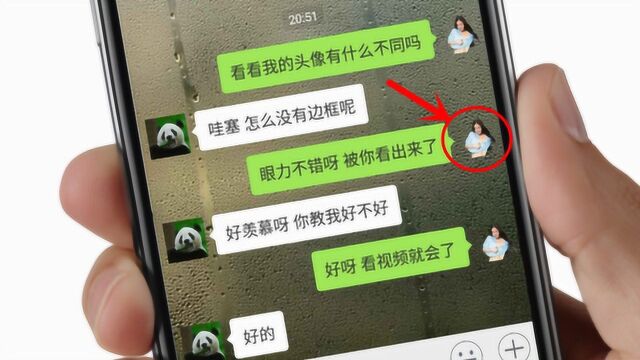 微信可以设置无边框头像了,赶快学,再不会就out了