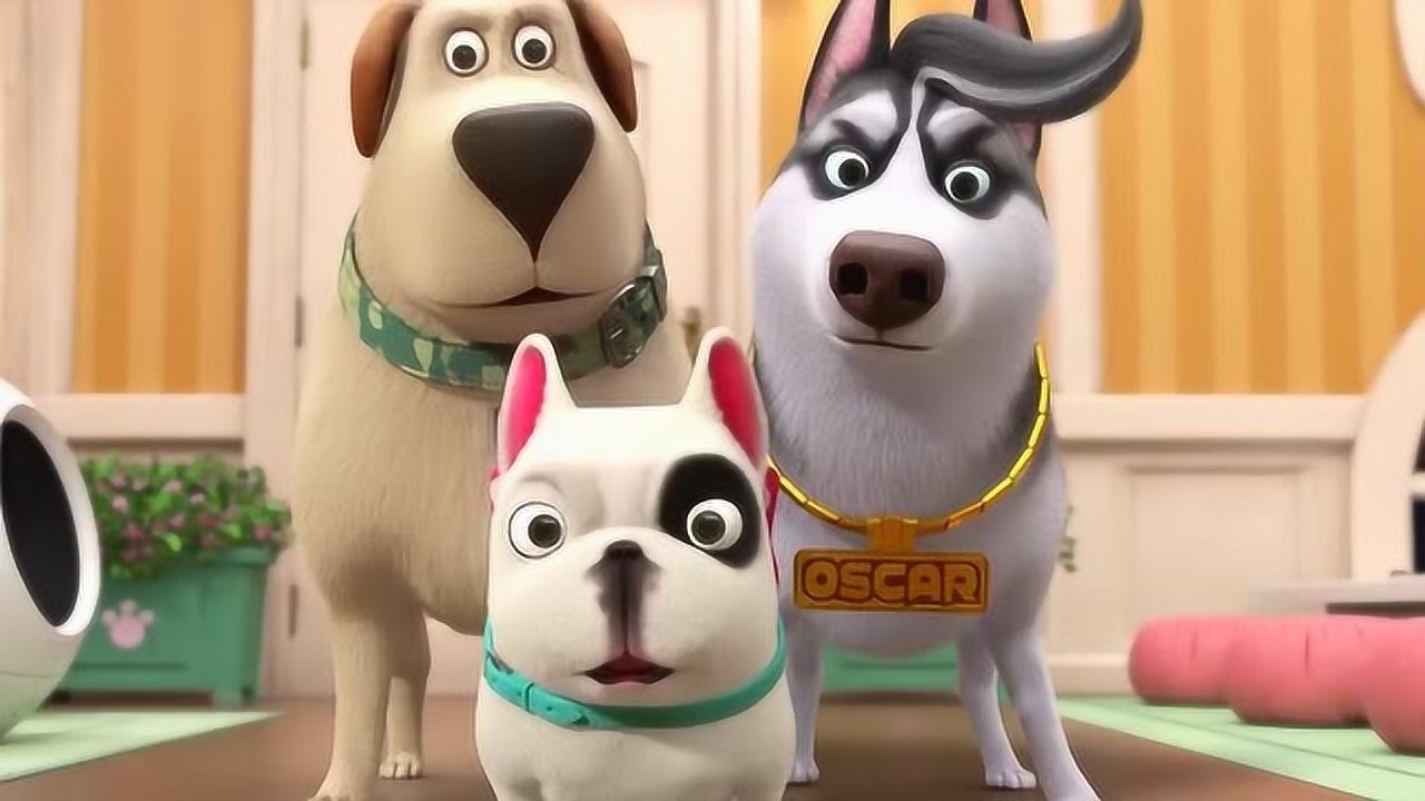 飞狗moco:长得可爱就可以任意妄为