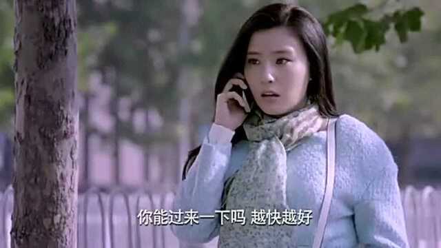 美女一个人去办结婚证,工作人员一脸的为难,表示男方不来办不了